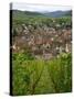 View over the Village of Riquewihr and Vineyards in the Wine Route Area, Alsace, France, Europe-Yadid Levy-Stretched Canvas