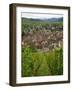 View over the Village of Riquewihr and Vineyards in the Wine Route Area, Alsace, France, Europe-Yadid Levy-Framed Photographic Print