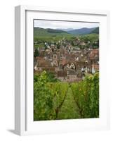 View over the Village of Riquewihr and Vineyards in the Wine Route Area, Alsace, France, Europe-Yadid Levy-Framed Photographic Print