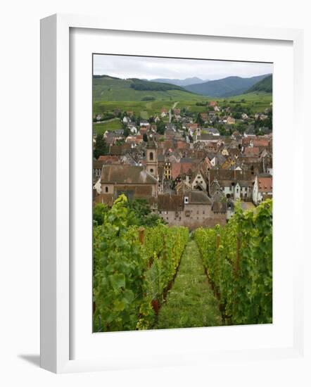 View over the Village of Riquewihr and Vineyards in the Wine Route Area, Alsace, France, Europe-Yadid Levy-Framed Photographic Print