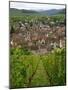 View over the Village of Riquewihr and Vineyards in the Wine Route Area, Alsace, France, Europe-Yadid Levy-Mounted Photographic Print