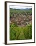 View over the Village of Riquewihr and Vineyards in the Wine Route Area, Alsace, France, Europe-Yadid Levy-Framed Photographic Print