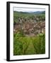 View over the Village of Riquewihr and Vineyards in the Wine Route Area, Alsace, France, Europe-Yadid Levy-Framed Photographic Print