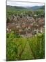 View over the Village of Riquewihr and Vineyards in the Wine Route Area, Alsace, France, Europe-Yadid Levy-Mounted Photographic Print