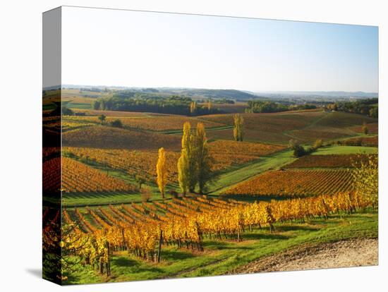 View Over the Vineyards in Bergerac, Chateau Belingard, Bergerac, Dordogne, France-Per Karlsson-Stretched Canvas