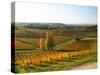 View Over the Vineyards in Bergerac, Chateau Belingard, Bergerac, Dordogne, France-Per Karlsson-Stretched Canvas