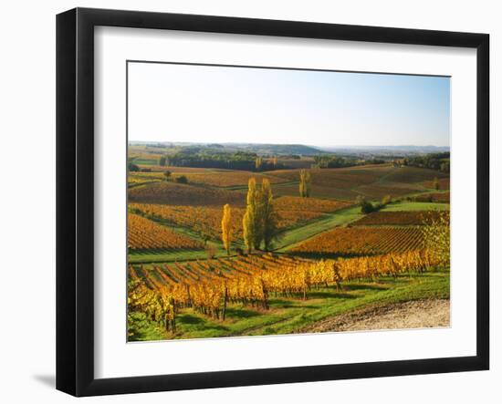 View Over the Vineyards in Bergerac, Chateau Belingard, Bergerac, Dordogne, France-Per Karlsson-Framed Premium Photographic Print