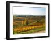 View Over the Vineyards in Bergerac, Chateau Belingard, Bergerac, Dordogne, France-Per Karlsson-Framed Premium Photographic Print