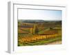 View Over the Vineyards in Bergerac, Chateau Belingard, Bergerac, Dordogne, France-Per Karlsson-Framed Premium Photographic Print