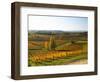 View Over the Vineyards in Bergerac, Chateau Belingard, Bergerac, Dordogne, France-Per Karlsson-Framed Photographic Print