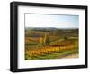 View Over the Vineyards in Bergerac, Chateau Belingard, Bergerac, Dordogne, France-Per Karlsson-Framed Photographic Print