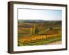 View Over the Vineyards in Bergerac, Chateau Belingard, Bergerac, Dordogne, France-Per Karlsson-Framed Photographic Print