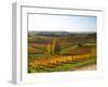 View Over the Vineyards in Bergerac, Chateau Belingard, Bergerac, Dordogne, France-Per Karlsson-Framed Photographic Print