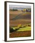 View Over the Vineyards in Bergerac, Chateau Belingard, Bergerac, Dordogne, France-Per Karlsson-Framed Photographic Print