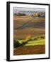 View Over the Vineyards in Bergerac, Chateau Belingard, Bergerac, Dordogne, France-Per Karlsson-Framed Photographic Print