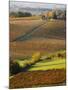 View Over the Vineyards in Bergerac, Chateau Belingard, Bergerac, Dordogne, France-Per Karlsson-Mounted Photographic Print
