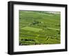 View over the vineyards near the Danube from Gottweig Abbey, Wachau, Lower Austria-Martin Zwick-Framed Photographic Print