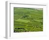 View over the vineyards near the Danube from Gottweig Abbey, Wachau, Lower Austria-Martin Zwick-Framed Photographic Print