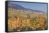 View over the Vineyards to Weyher in Autumn-Marcus Lange-Framed Stretched Canvas