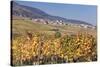 View over the Vineyards to Weyher in Autumn-Marcus Lange-Stretched Canvas