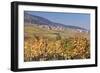 View over the Vineyards to Weyher in Autumn-Marcus Lange-Framed Photographic Print