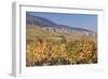 View over the Vineyards to Weyher in Autumn-Marcus Lange-Framed Photographic Print