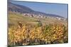 View over the Vineyards to Weyher in Autumn-Marcus Lange-Mounted Photographic Print