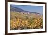 View over the Vineyards to Weyher in Autumn-Marcus Lange-Framed Photographic Print