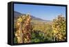 View over the Vineyards to Weyher in Autumn-Marcus Lange-Framed Stretched Canvas