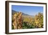 View over the Vineyards to Weyher in Autumn-Marcus Lange-Framed Photographic Print