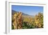 View over the Vineyards to Weyher in Autumn-Marcus Lange-Framed Photographic Print