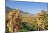 View over the Vineyards to Weyher in Autumn-Marcus Lange-Mounted Photographic Print