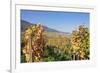 View over the Vineyards to Weyher in Autumn-Marcus Lange-Framed Photographic Print