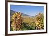 View over the Vineyards to Weyher in Autumn-Marcus Lange-Framed Photographic Print