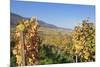 View over the Vineyards to Weyher in Autumn-Marcus Lange-Mounted Photographic Print