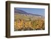 View over the Vineyards to Weyher in Autumn-Marcus Lange-Framed Photographic Print