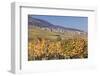 View over the Vineyards to Weyher in Autumn-Marcus Lange-Framed Photographic Print