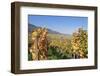 View over the Vineyards to Weyher in Autumn-Marcus Lange-Framed Photographic Print