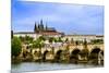 View over the Vltava of Charles Bridge-David Ionut-Mounted Photographic Print