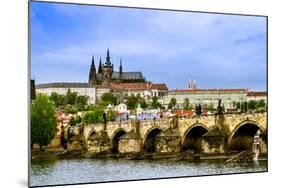 View over the Vltava of Charles Bridge-David Ionut-Mounted Photographic Print