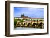 View over the Vltava of Charles Bridge-David Ionut-Framed Photographic Print