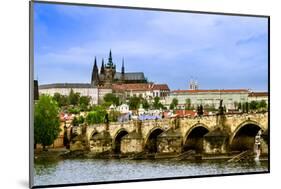 View over the Vltava of Charles Bridge-David Ionut-Mounted Photographic Print