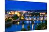 View over the Vltava River and Bridges in Prague-David Ionut-Mounted Photographic Print