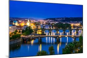 View over the Vltava River and Bridges in Prague-David Ionut-Mounted Photographic Print