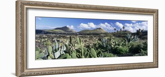 View over the volcanic landscape of Parque Natural de Los Volcanes, La Geria, Lanzarote-Stuart Black-Framed Photographic Print