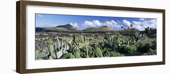 View over the volcanic landscape of Parque Natural de Los Volcanes, La Geria, Lanzarote-Stuart Black-Framed Photographic Print