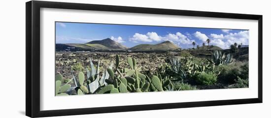 View over the volcanic landscape of Parque Natural de Los Volcanes, La Geria, Lanzarote-Stuart Black-Framed Photographic Print