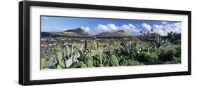 View over the volcanic landscape of Parque Natural de Los Volcanes, La Geria, Lanzarote-Stuart Black-Framed Photographic Print