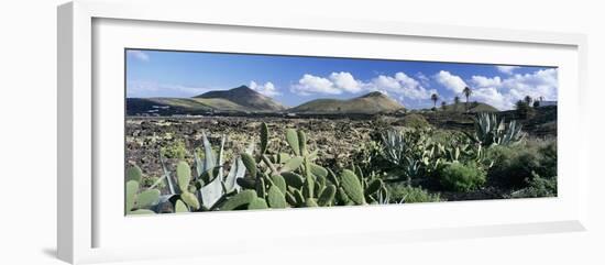 View over the volcanic landscape of Parque Natural de Los Volcanes, La Geria, Lanzarote-Stuart Black-Framed Photographic Print