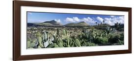 View over the volcanic landscape of Parque Natural de Los Volcanes, La Geria, Lanzarote-Stuart Black-Framed Photographic Print